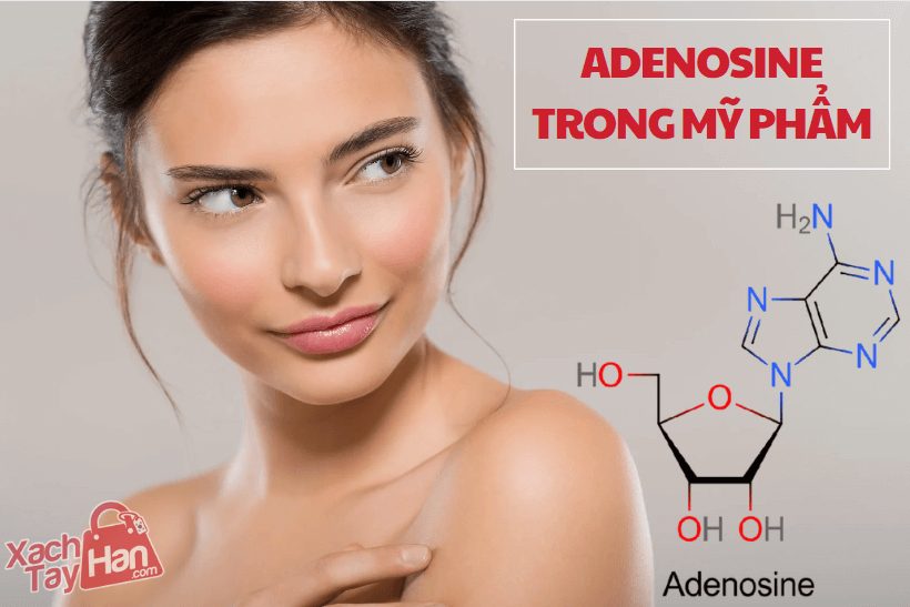 Adenosine trong mỹ phẩm: xu hướng chăm sóc da hiện đại