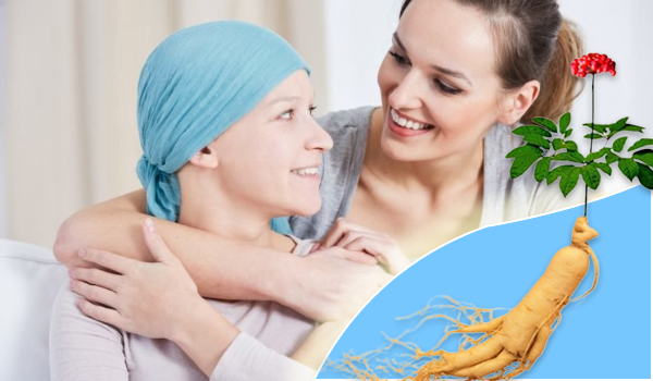 Tác dụng của nhân sâm đối với người bị u?