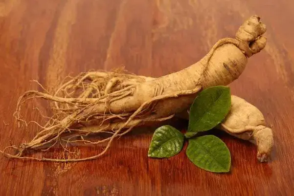 Lợi ích dinh dưỡng từ nhân sâm