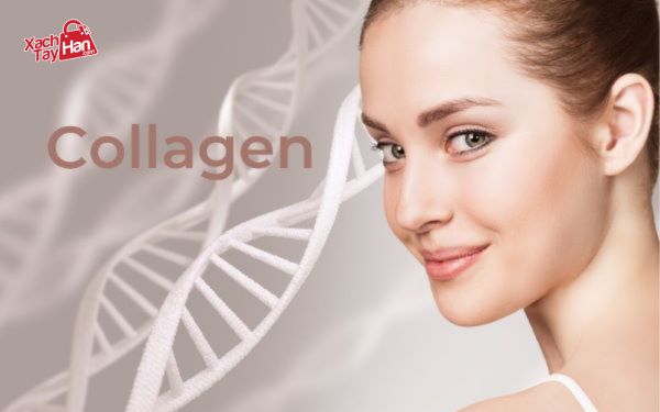 Collagen là gì?