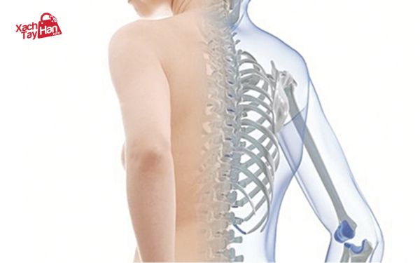 Lợi ích của collagen đối với sức khỏe