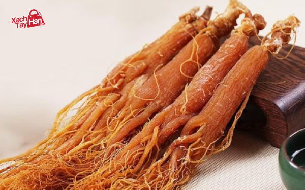 Lợi ích tuyệt vời của sâm hàn quốc đối với sức khỏe