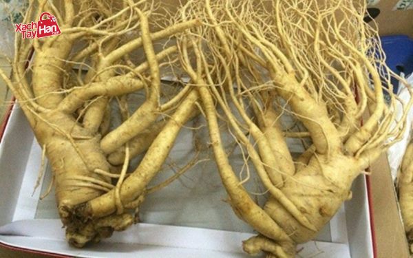 Cách phân biệt sâm hàn quốc thật và giả