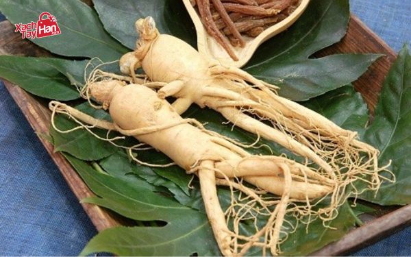 Câu hỏi thường gặp về sâm hàn quốc
