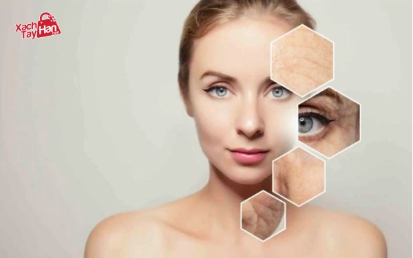Colllagen có công dụng gì đối với các chị em